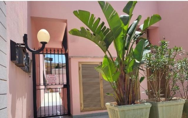 Cico Appartamento San Vito Lo Capo Dış mekan fotoğraf